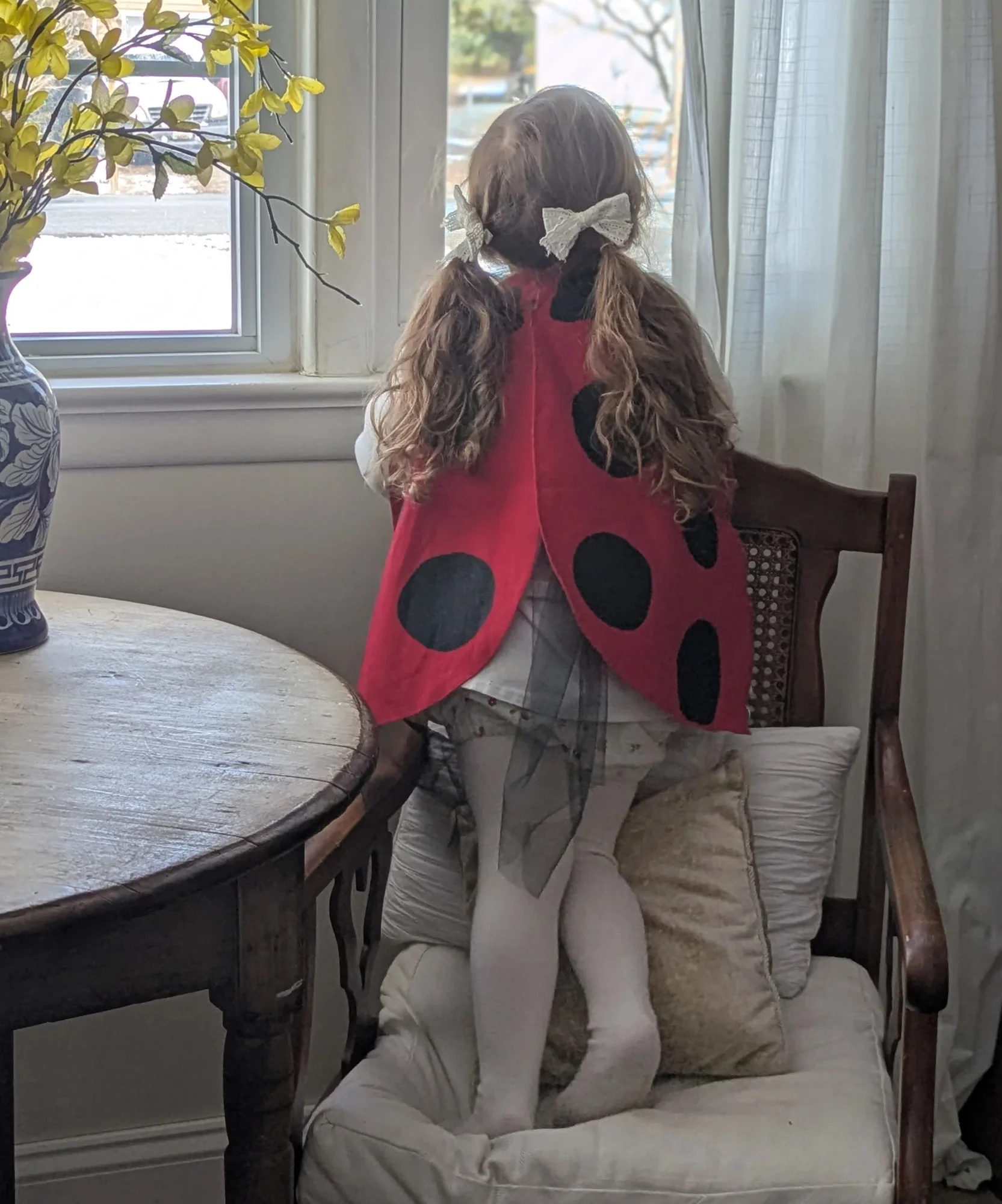 Le Ladybug Wings Costume - Image 3