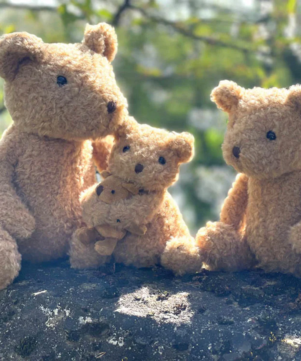 Eustache le Bear - Image 3