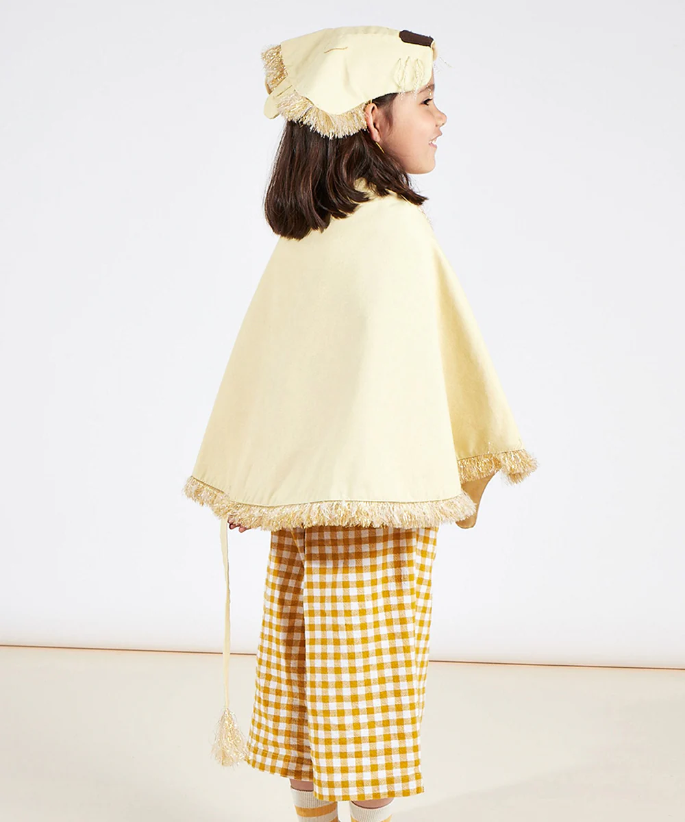 Le Lion Costume - Image 3