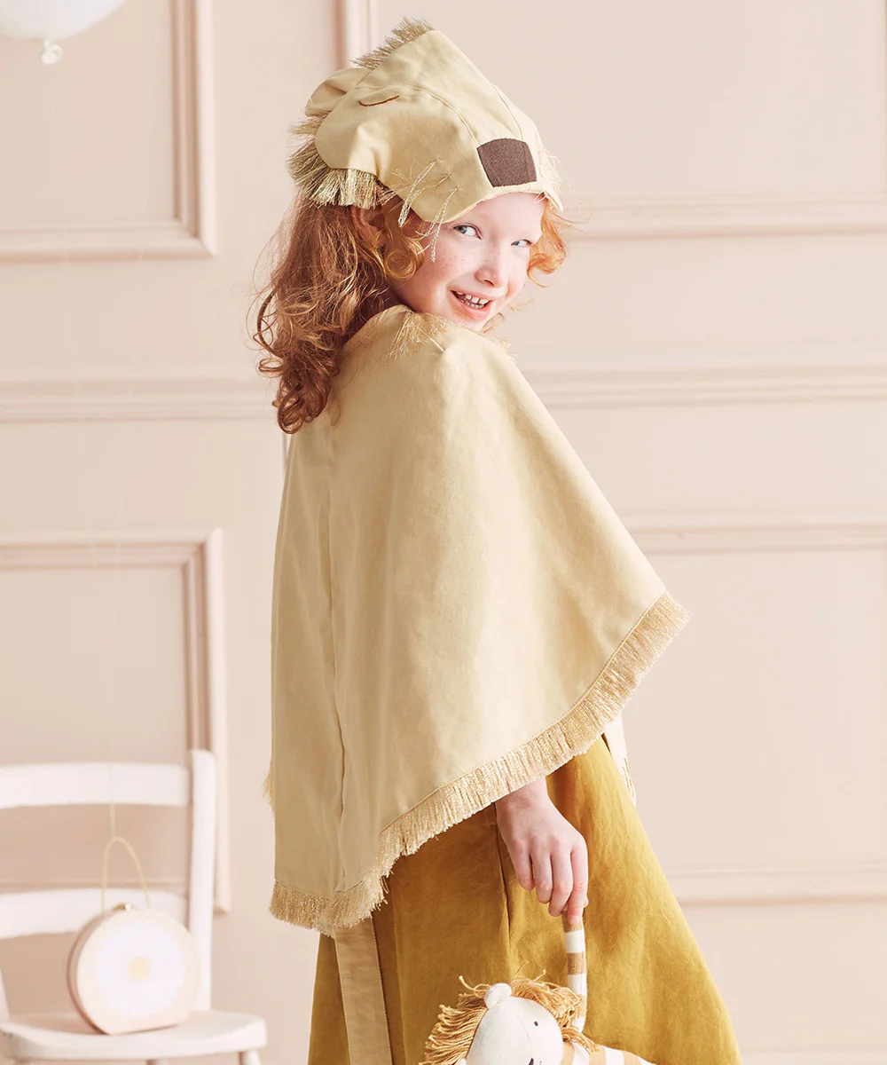 Le Lion Costume - Image 4
