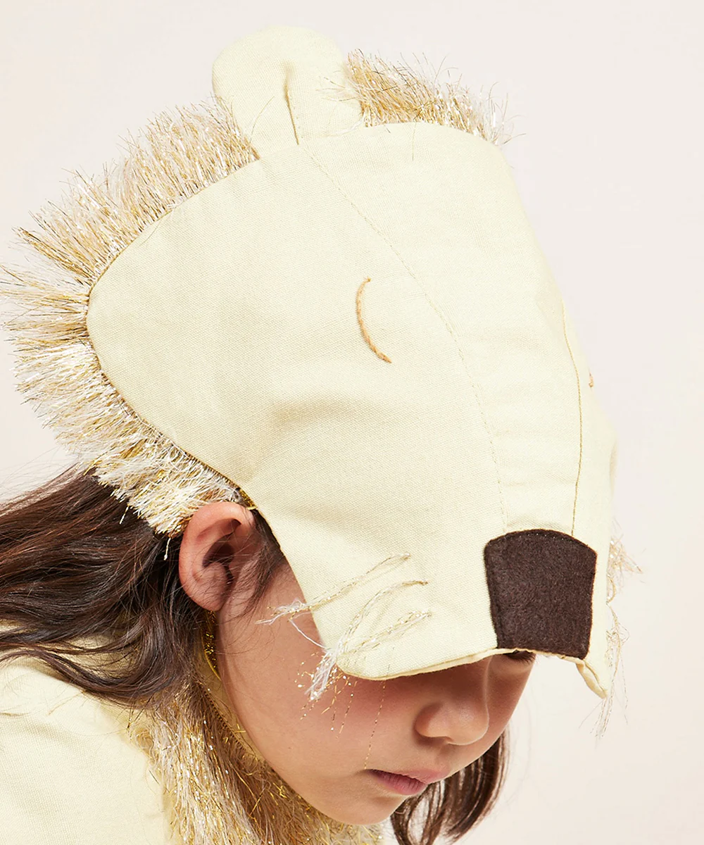 Le Lion Costume - Image 5