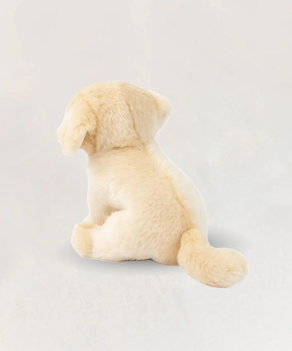 Loulou le Labrador - Image 3